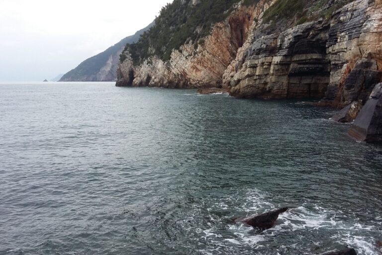 Giornata Mondiale per l’Ambiente