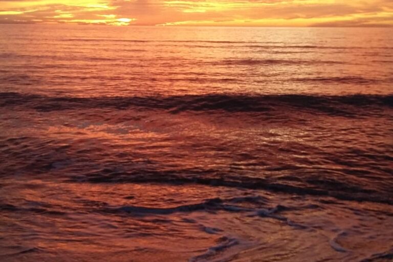 due parole sul cambiamento globale